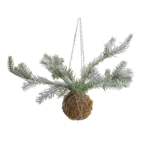 SFERA KOKEDAMA CON PINO INNEVA